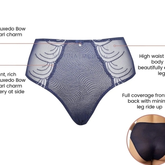 Parfait Navy Lace Underwear Panty Panties Large L New NWT - Picture 2 of 4